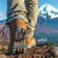 A fool on Mt Fuji? Here’s why