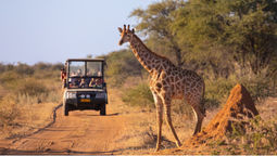 Cox & Kings offers curated travel experiences across Africa, Egypt, Peru, and Jordan, incorporating safari lodges, riverboats, and philanthropic projects through A&K Philanthropy.
