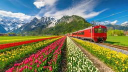 The Good Night Train makes stops at several prominent European cities including Brussels, Antwerp, Rotterdam, Amsterdam, Berlin, Dresden, and Prague.