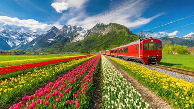 The Good Night Train makes stops at several prominent European cities including Brussels, Antwerp, Rotterdam, Amsterdam, Berlin, Dresden, and Prague.