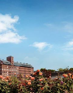Faena Hotel Buenos Aires