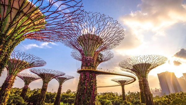 Gardens by the Bay combines sustainable innovation with nature, using Supertree structures for exhaust management and solar energy while studying biodiversity. Gardens by the Bay combines sustainable innovation with nature, using Supertree structures for exhaust management and solar energy while studying biodiversity.