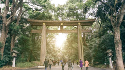Some 35% of Japanese surveyed say that they don't intend to travel ever again.