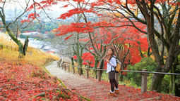 Japan is Singaporeans' top travel destination, followed by Malaysia and Thailand.