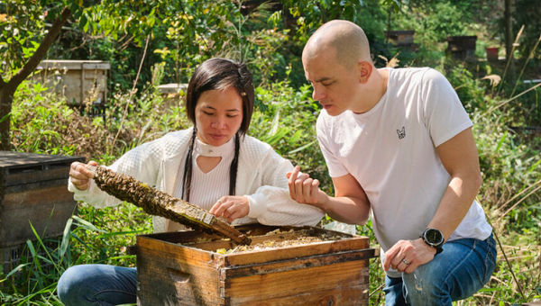 Mandarin Oriental, Guangzhou partners with local bee farms to supply natural honey to its restaurants Mandarin Oriental, Guangzhou partners with local bee farms to supply natural honey to its restaurants