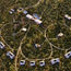 Marriott goes on safari in Tanzania
