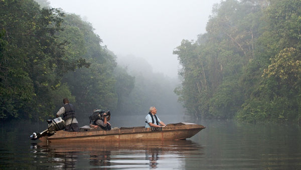 Sukau Rainforest Lodge has even hosted renowned figures like David Attenborough, who stayed there while filming the rich biodiversity of Borneo. Sukau Rainforest Lodge has even hosted renowned figures like David Attenborough, who stayed there while filming the rich biodiversity of Borneo.