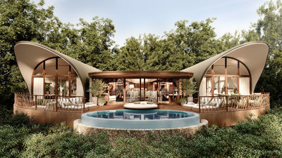 Each tent features roll-up canvas walls blending indoors with outdoors, offering guests immersive views, private plunge pools, and elevated treetop perspectives of the Masai Mara wilderness.
