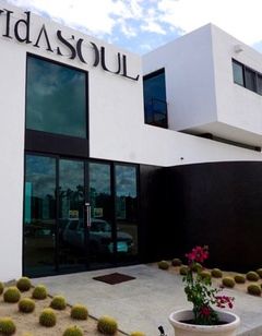 Vidasoul Hotel