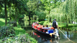 In Spreewald, travellers can explore tranquil canals on traditional boat tours, uncovering the area's rich history, culture, and local traditions through intimate, hyperlocal experiences.