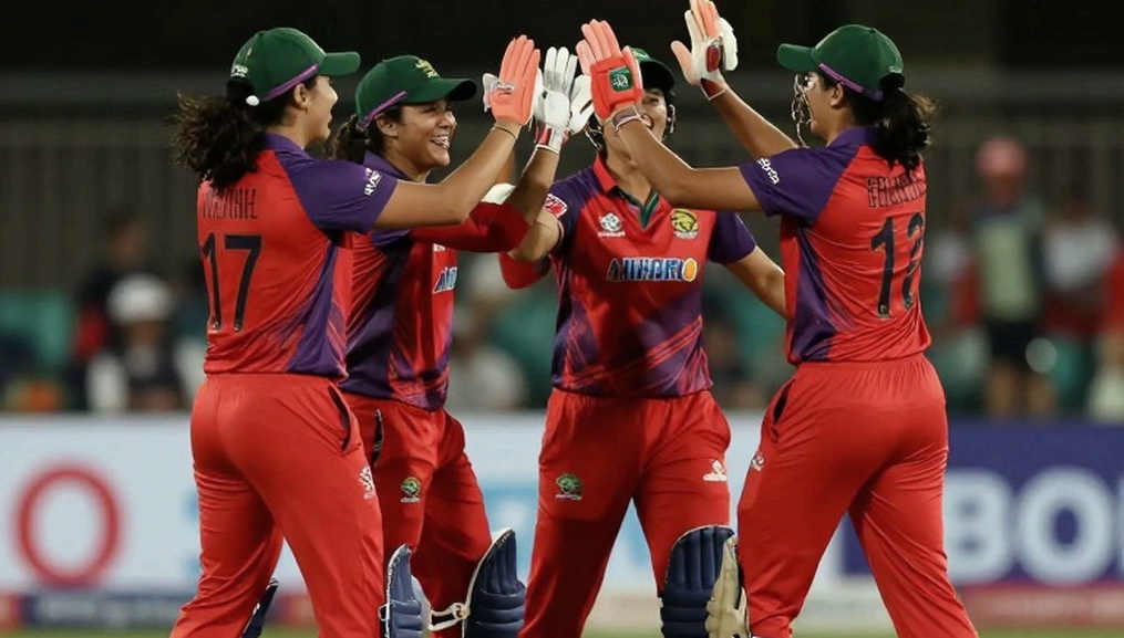 স্কোরকার্ড যা বলে না: ক্রিকেট ডেটার আট স্তরের ম্যানুয়াল অডিট
